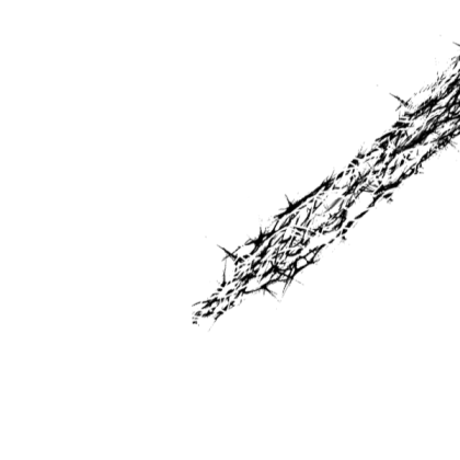 frame4