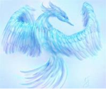 icebird team