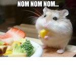 NOM NOM NOM SQUAD