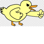 PatoLocoCREW