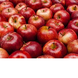 We Love Apples
