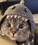 hi I’m speedy021013