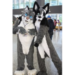The supreme council of furrys