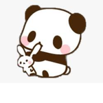 Panda Studio Squad