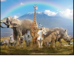 Peace to animals Forever