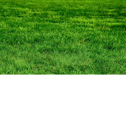 touching grass simulation