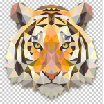 Tigerkid