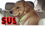 Sus people 69