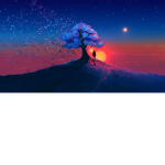 NurdanYusufChannel1