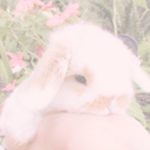 Jay’s elysium ⋆୨୧ﾟ