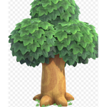 tree appreciation club