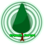 Sequoia Forest