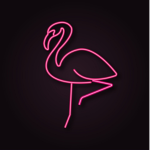 Flamingo Clothing Shop