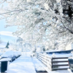 ❄️