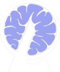 BongBong Collective