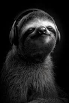 •Super Sloth•