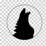 Team Godzilla studios