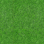 playing in grass