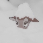 My Snowflakess