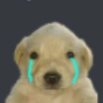 xuqlysoulzx