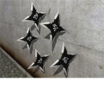Girl Ninjas Of Robloxia!