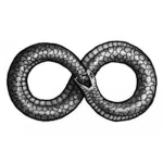Vitem et Mortem