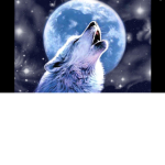 WolfClub