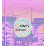 Dia Aesthetic Clothing Store