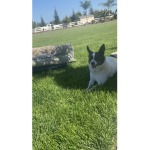 El_bonbon