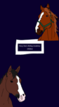 ~Navy Stars Riding Academy~
