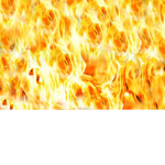 Fire Squad 1,000
