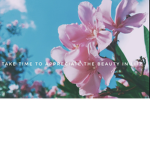Blossom Bundle