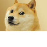 doge gane