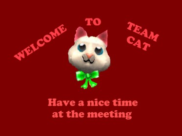 The Team Cat Meeting Centre