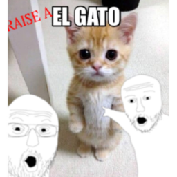 Raise A El Gato 👌