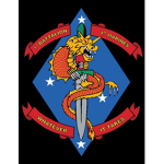 1st Battalion, 4th Marines 2000's