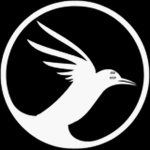 BirdBrain