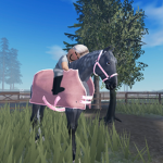 Stargazer stablegrounds