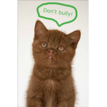 Stop Bullying Team
