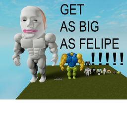 STRENGH SIMULATOR