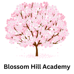 Blossom Hill Academy