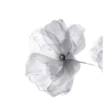 Edelweiss Bliss