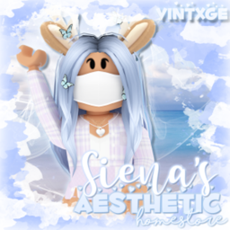 Siena's Aesthetic Homestore