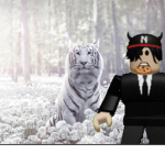 Les tigres blanc