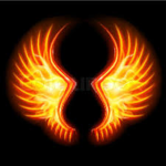 Wings of Fire hangout group