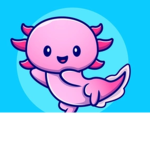 axolotl - studio's