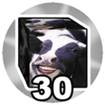 Reach Block 30