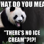 Panda_babies