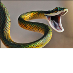 Venom's Group