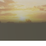 The cult of the dying sun